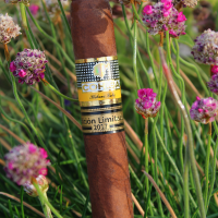 Cohiba Talisman (Limited Edition 2017 - Box code 2017) Cigar - Box of 10